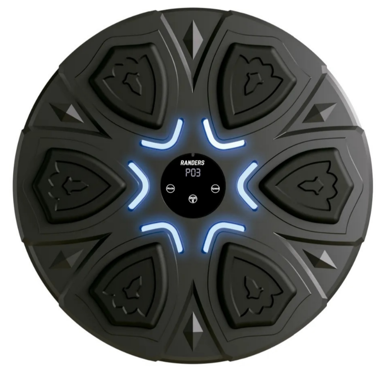 Maquina de Boxeo inteligente Randers Modelo: ARG-BOX-002