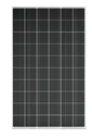 Panel Solar Trisol 300w 24v Perc Alta Eficiencia 11 Barras