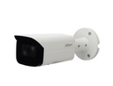 [IPC-HFW4231TP-ASE-036B] Camara IP 2MP Bala STARVIS PoE 80m